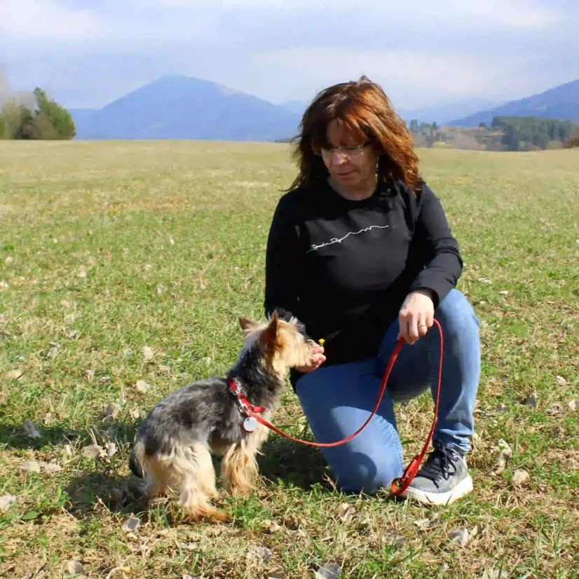 Dámske tričko s prestrihnutou vrchnou časťou do šikma